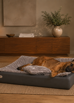 All-In Relax Bundle | KUDDE Hundebett + Einlage & Kissen