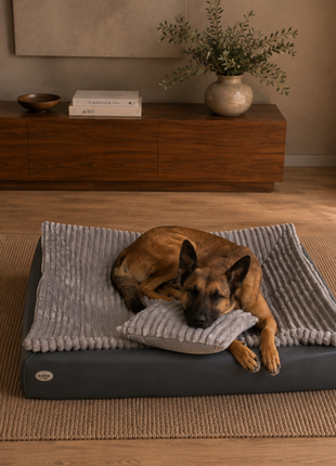 All-In Relax Bundle | KUDDE Hundebett + Einlage & Kissen