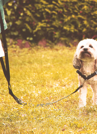 Anti-stress harness STURMFREI® Saver for very small dogs