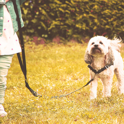 Anti-Stress-Geschirr STURMFREI® Saver für sehr kleine Hunde