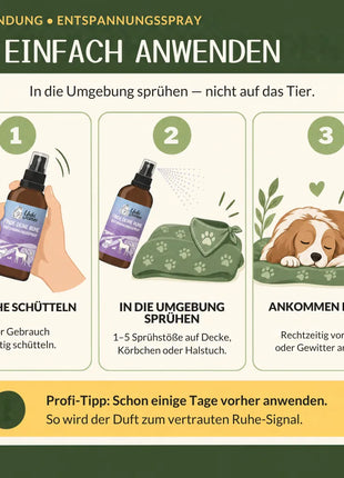 Entspannungsspray Finde deine Ruhe 100ml