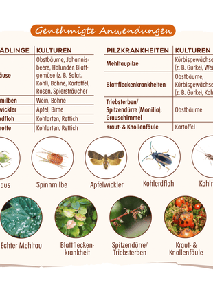 Solabiol Grundstoff Urtica Konzentrat 1 l Pilzabwehr 2-in-1