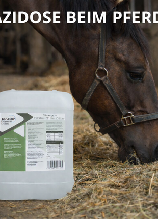 AnoKath® Liquid – Säure-Basen-Haushalt bei Azidose beim Pferd begleiten