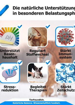 AnoKath® Liquid – Säure-Basen-Haushalt bei Azidose beim Pferd begleiten