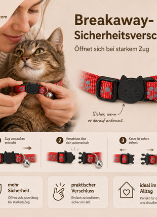 Katzenhalsband mit Name und Telefonnummer graviert