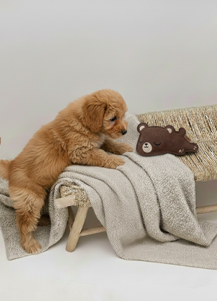 BUDDY. Hundespielzeug aus Leder "Kleiner Bär"