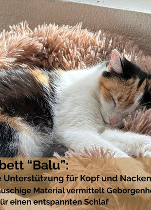 Hundebett "Balu" kuschelig weiche & waschbare Auflage – mit hohem Rand für Auto & Sofa
