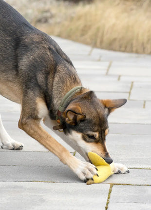 BUDDY. Hundespielzeug aus Wollfilz "Banane"