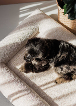 Hundebett Barklay Größe S mit Bouclébezug