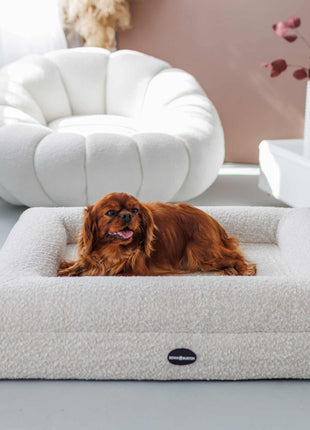 Hundebett Barklay Größe XS mit Bouclébezug