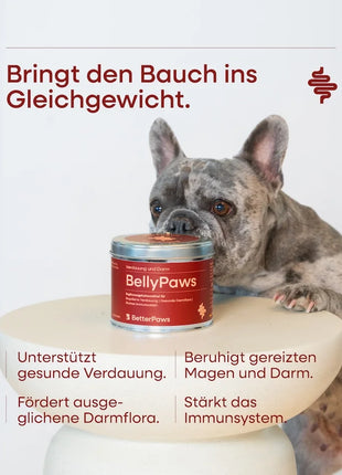 BellyPaws