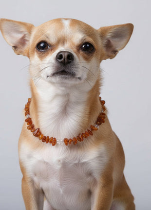 Dog amber necklace rock crystal
