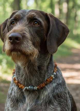 Hunde Bernsteinkette mit Edelsteinen Länge 44cm