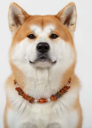 Hunde Bernsteinkette mit Achat und  Bergkristall Länge 46cm