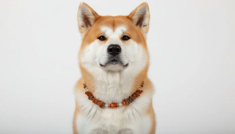 Hunde Bernsteinkette mit Achat und  Bergkristall Länge 46cm
