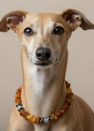 Hunde Bernsteinkette mit Achat und Hämatit Länge 22cm