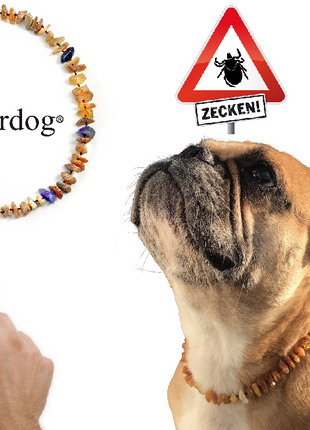 Hunde Bernsteinkette Amethyst