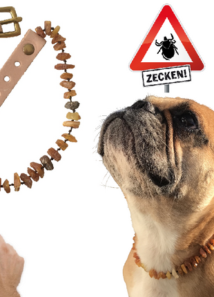 Hunde Bernsteinkette SuperFlex