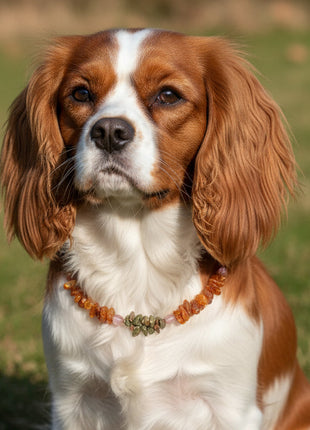 Bernsteinkette für den Hund mit Unakit und Erdbeerquarz Länge 36cm