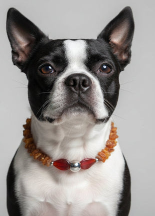 Dog amber necklace with agate, length 38cm