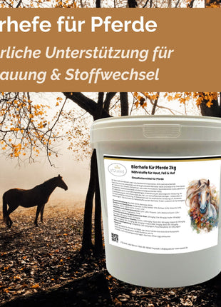 BT Bierhefe Pferd 2kg – bei Kotwasser, Fellwechsel & empfindlicher Verdauung