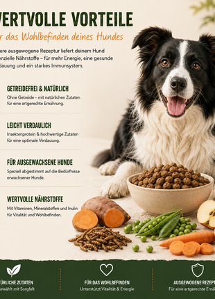 MyPetClub Insekten
