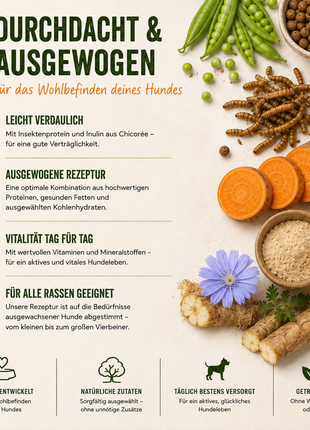 MyPetClub Insekten