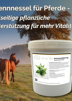 Brennnessel Pferd 1kg