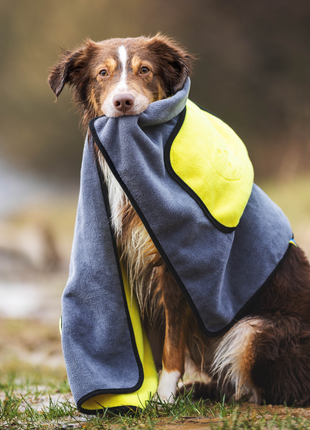 Handtuch BUDDY für Hunde