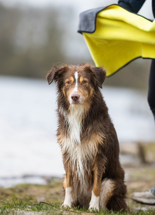 Handtuch BUDDY für Hunde