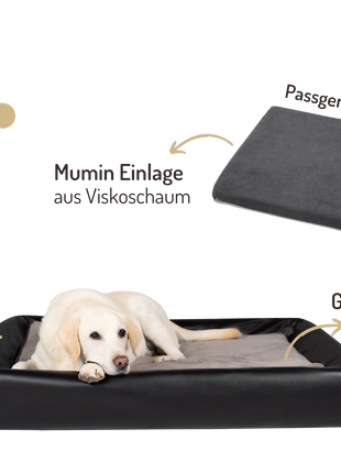 Orthopädisch-Plus Bundle | KUDDE Hundebett + Mumin Einlage Alltid