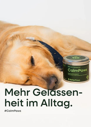 CalmPaws