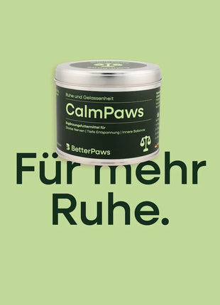 CalmPaws