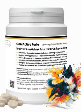 CaniActive Forte 100 Gelenk Tabs für Hunde - mit Grünlippmuschel, MSM & Glucosamin