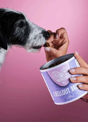 Chillout DROPS zur sanften Beruhigung und Entspannung von Tierliebhaber