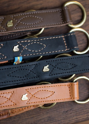 Hundehalsband CLASSIC Light