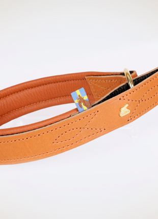 Hundehalsband CLASSIC Light