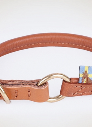 Hundehalsband CLASSIC Rundzug