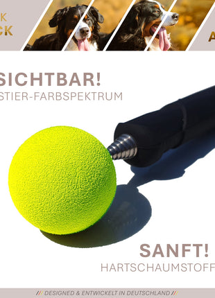 ASCO ClickStick - Target Stick with Detachable Premium Clicker - Target Stick for Dog and Cat Clicker Training - Extendable Target Stick with Extra Clicker - Target Stick for Target Training 