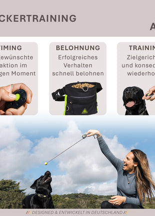 ASCO Target Stick - Target Stab für Hunde Katzen Targettraining - Targetstick ausziehbar mit Softball - Edelstahl Targetstab mit Teleskopfunktion