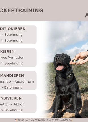 ASCO Finger Clicker – Clickertraining Premium Klicker für Hunde, Katzen, Pferde