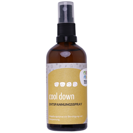 Entspannungsspray Cool down 100ml