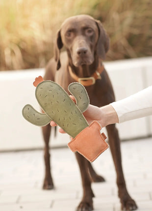 BUDDY. Hundespielzeug aus Leder "Kaktus"