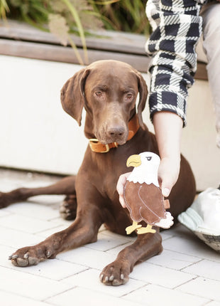 BUDDY. Hundespielzeug aus Leder "Adler"