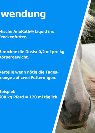 AnoKath® Liquid – Darmsanierung beim Pferd im Alltag unterstützend begleiten
