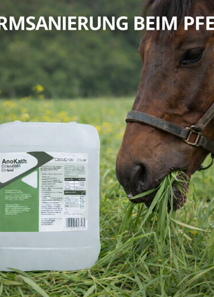 AnoKath® Liquid – Darmsanierung beim Pferd im Alltag unterstützend begleiten