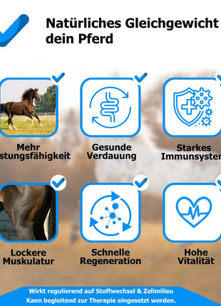 AnoKath® Liquid – Darmsanierung beim Pferd im Alltag unterstützend begleiten