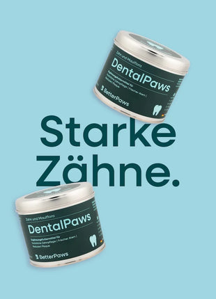 DentalPaws