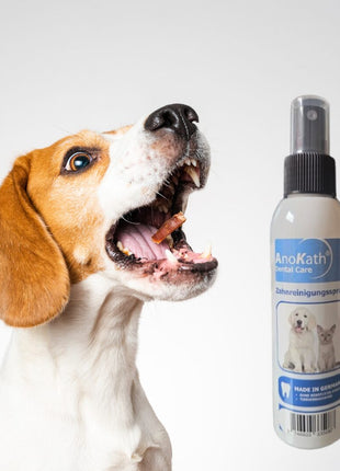 AnoKath® Dental Spray – Hunde Zahnpflege ohne Zähneputzen, frischer Atem