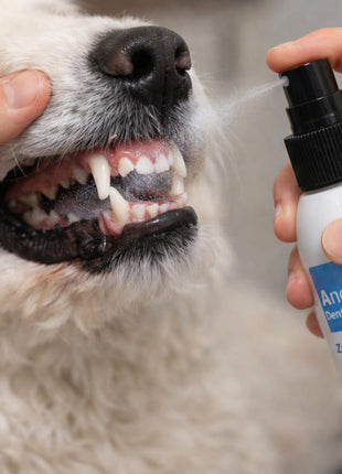 AnoKath® Dental Spray – Hunde Zahnpflege ohne Zähneputzen, frischer Atem